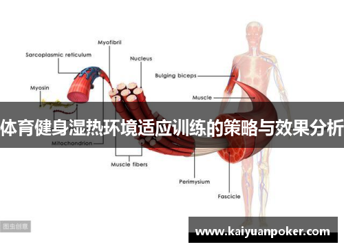 体育健身湿热环境适应训练的策略与效果分析