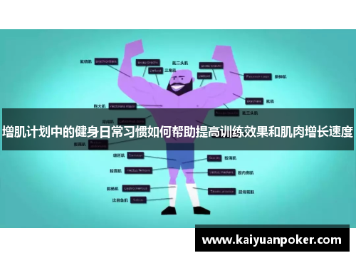 增肌计划中的健身日常习惯如何帮助提高训练效果和肌肉增长速度
